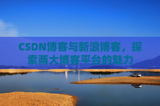 CSDN博客与新浪博客，探索两大博客平台的魅力